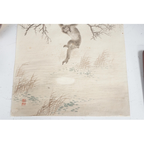 1717 - Chinese School, watercolour on card, Monkeys on a branch, with red seal marks, 50 x 32cm, unframed... 