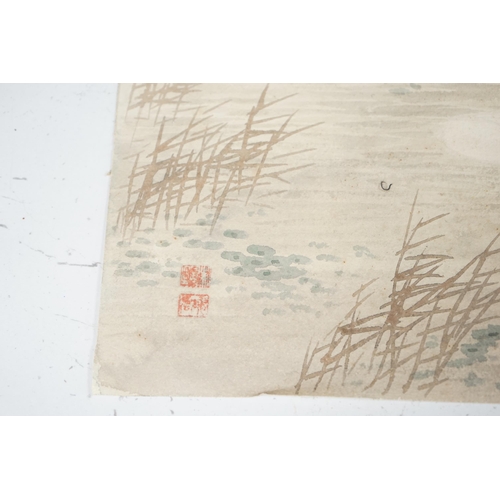 1717 - Chinese School, watercolour on card, Monkeys on a branch, with red seal marks, 50 x 32cm, unframed... 