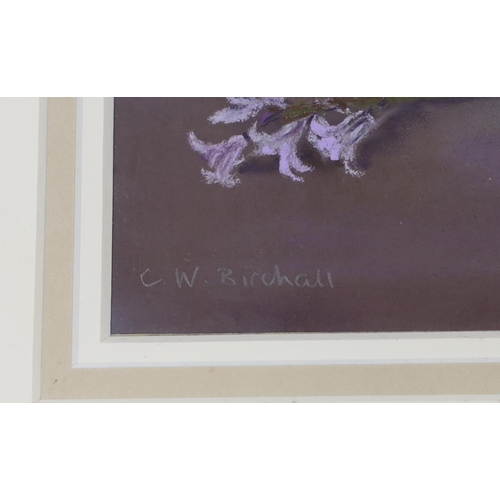 1753 - Christine (Christie) Birchall SWA (Contemporary) pastel, Chinese bowl and bluebells, signed, details... 