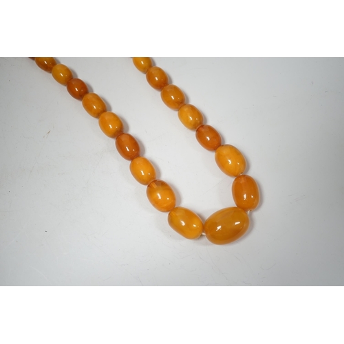 1929 - A single strand graduated oval amber bead necklace, 74cm, 83 grams.