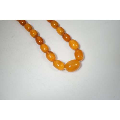 1929 - A single strand graduated oval amber bead necklace, 74cm, 83 grams.