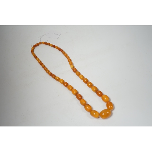 1929 - A single strand graduated oval amber bead necklace, 74cm, 83 grams.