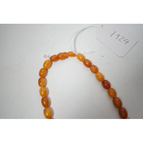 1929 - A single strand graduated oval amber bead necklace, 74cm, 83 grams.