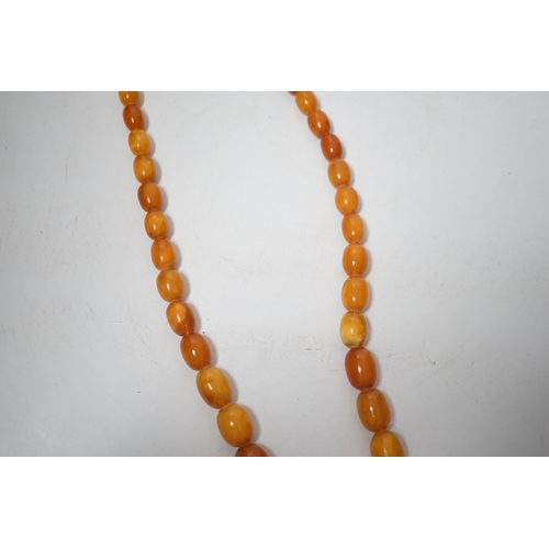 1929 - A single strand graduated oval amber bead necklace, 74cm, 83 grams.