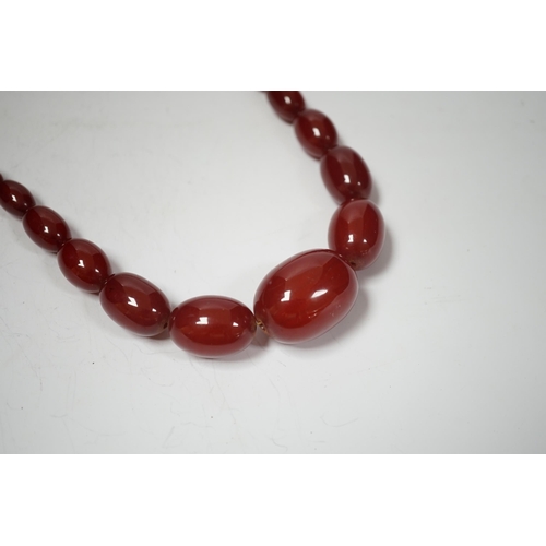 1931 - A single strand graduated oval simulated cherry amber bead necklace, 70cm, gross weight 63 grams.... 