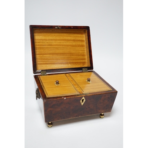 380 - A Regency banded burr yew tea caddy, Ivory escutcheon, 20cm wide CITES Submission reference 4NYKHDBU... 