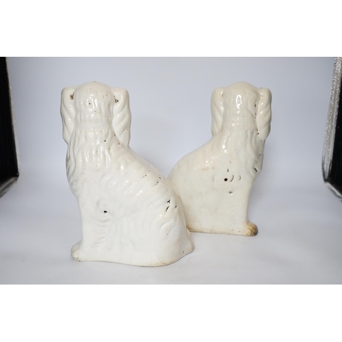 404 - A pair of Staffordshire pottery dogs, 25cm high