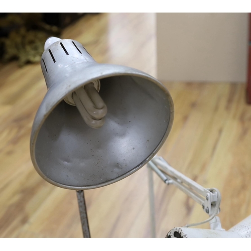 591 - Two anglepoise lamps including a white painted example