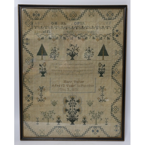 603 - A framed William IV sampler, by Mary Telter, aged 12 years September the 3, 1833,  with alphabet, re... 