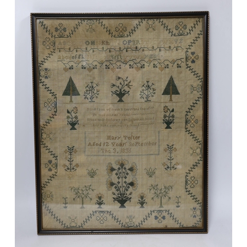 603 - A framed William IV sampler, by Mary Telter, aged 12 years September the 3, 1833,  with alphabet, re... 