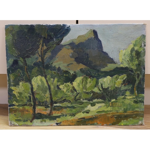 700 - French School, oil on canvas board, Mountainous landscape, indistinctly signed, 30 x 41cm, unframed... 