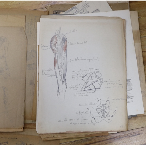 756 - ° ° De Humani Corporis Fabrica Libri Septem, Andreae Vesalii, facsimile with twelve plates together ... 