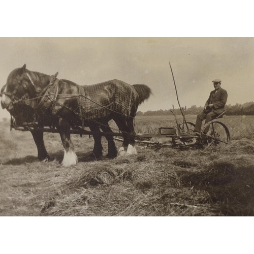 1461 - Three framed early 20th century farming photographs, largest 59.5cm wide x 39.5cm high