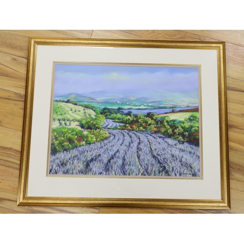 1718 - Terence Hemmings (contemporary), pastel, 'Lavender fields of Tuscany', signed, details verso, 47 x 6... 