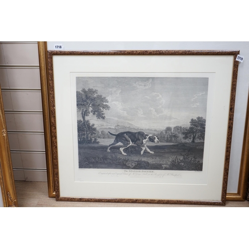 1719 - After George Stubbs (1724-1806), engraving, 'The Spanish pointer', limited edition 55/225, publ. by ... 