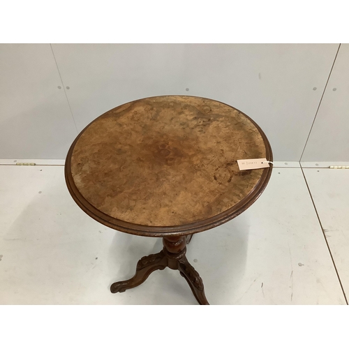 22 - A Victorian circular burr walnut tripod wine table, diameter 52cm, height 71cm