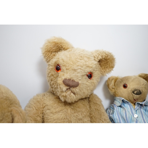 305 - Two Invicta bears, 30cm and 45cm, some wear, and a Merrythought bear, dressed in vintage dressing go... 