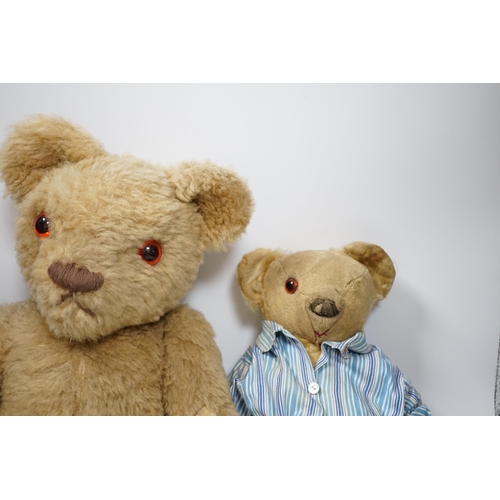 305 - Two Invicta bears, 30cm and 45cm, some wear, and a Merrythought bear, dressed in vintage dressing go... 