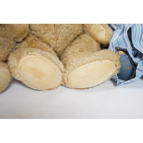 305 - Two Invicta bears, 30cm and 45cm, some wear, and a Merrythought bear, dressed in vintage dressing go... 