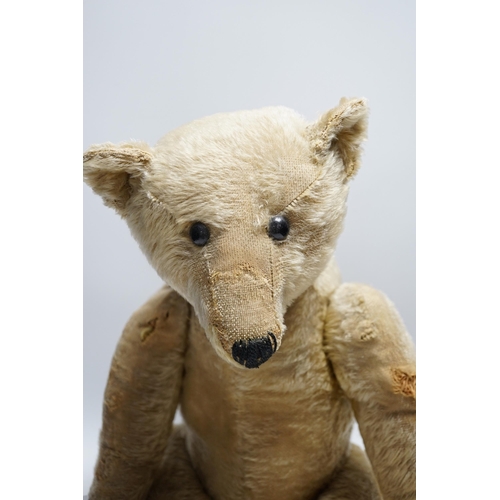 328 - A Steiff bear c.1910, 65cm holes to front of arms, repairs to paw pads and nose, no button