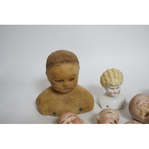 331 - Twelve small bisque doll heads and a wax head