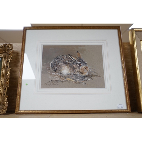 710 - * * Cees Roorda (Dutch, b. 1942-), heightened watercolour, 'A young hare', signed and dated 97, 29 ... 