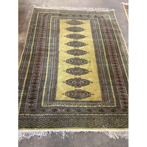 1231 - A Bokhara style rug, 177 x 129cm