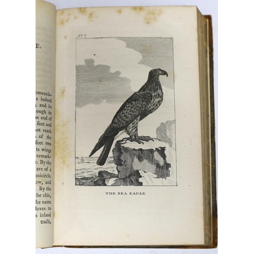 345 - ° ° Buffon, George-Louis Leclerc, Comte de - The Natural History of Birds from the French of the Cou... 