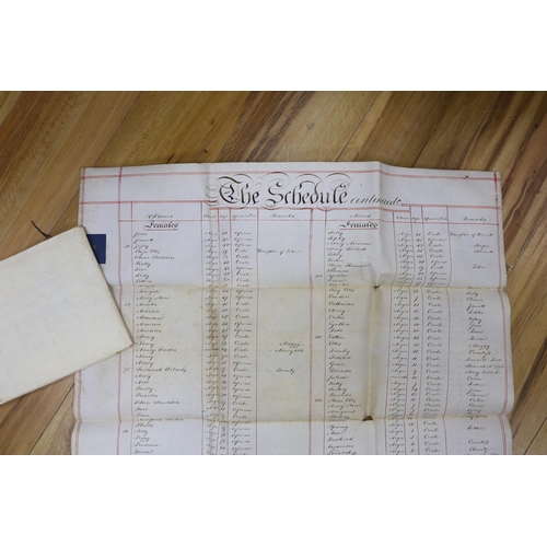 352 - Two parchment membranes forming parts of schedules listing enslaved men, women and children, detache... 