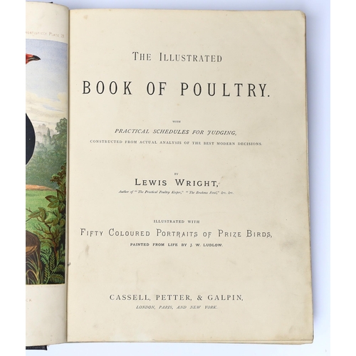 377 - ° ° Wright, Lewis - The Illustrated Book of Poultry. 52 coloured plates; rebound cloth with red leat... 