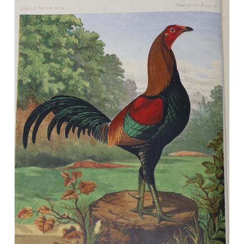 377 - ° ° Wright, Lewis - The Illustrated Book of Poultry. 52 coloured plates; rebound cloth with red leat... 