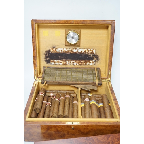 503 - Two burr wood humidors, one with contents including Cohiba