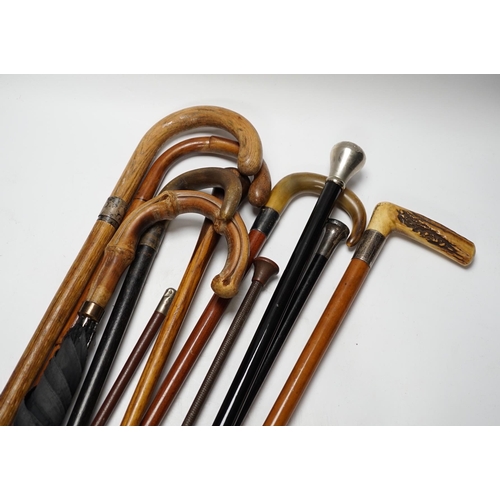 561 - Eleven walking sticks, canes and riding crops, three with horn handles, longest 89cm