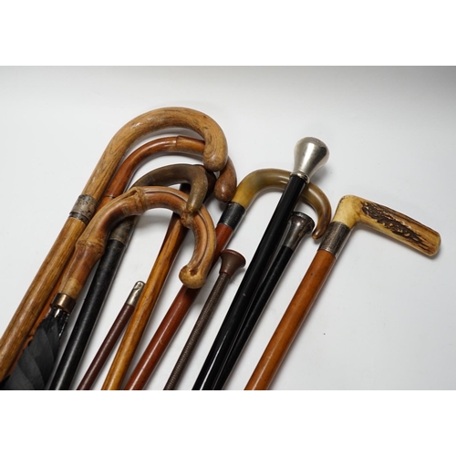 561 - Eleven walking sticks, canes and riding crops, three with horn handles, longest 89cm