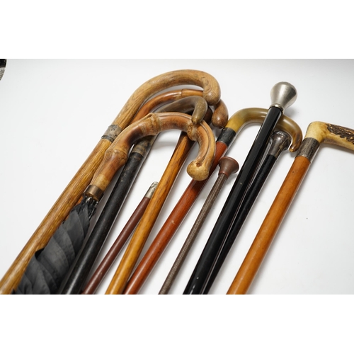 561 - Eleven walking sticks, canes and riding crops, three with horn handles, longest 89cm