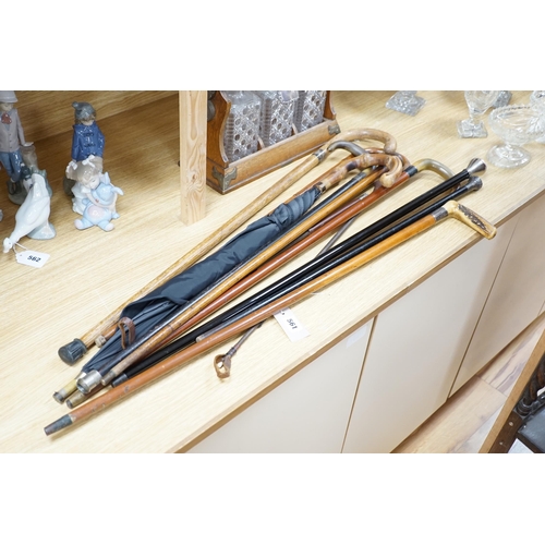 561 - Eleven walking sticks, canes and riding crops, three with horn handles, longest 89cm