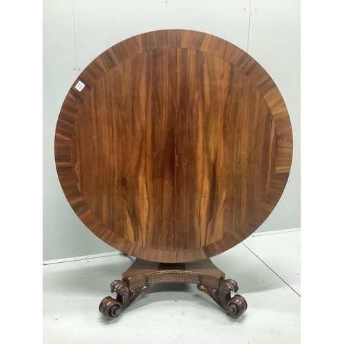 64 - A William IV circular rosewood tilt top pedestal dining table, diameter 121cm, height 72cm