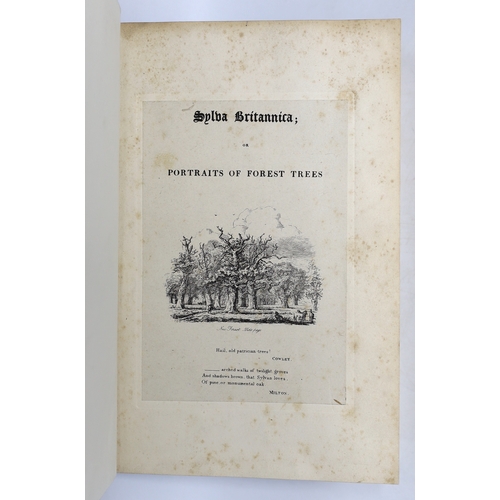 378 - ° ° Strutt, Jacob George - Sylva Britannica; or Portraits of Forest Trees, distinguished for their a... 