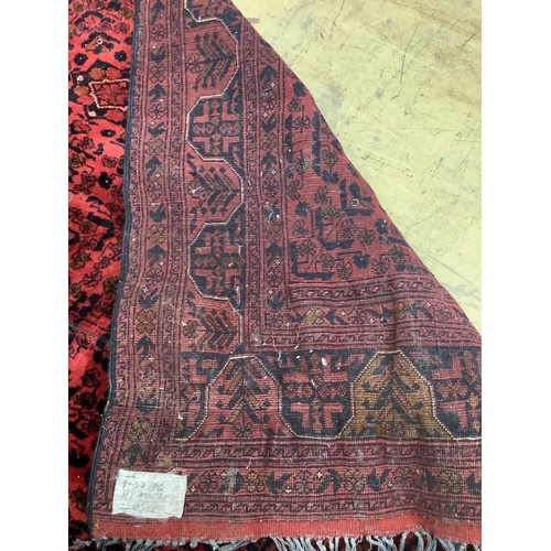 1075 - An Afghan red ground carpet, 246 x 164cm