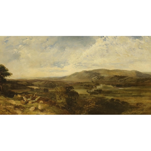 1802 - Victorian School, oil on canvas, Landscape with shepherd and sheep, 49 x 90cm, ornate gilt frame... 