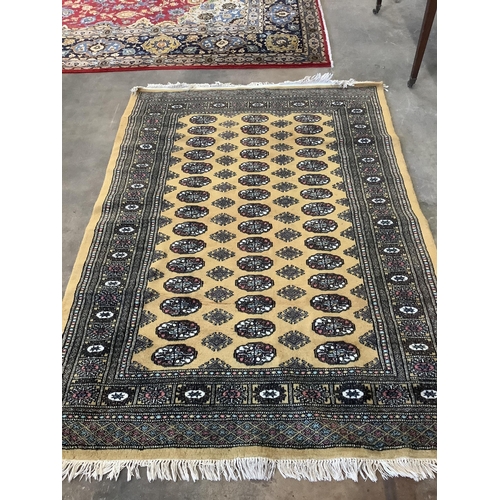 1071 - A Bokhara style cotton pile rug, 178 x 126cm