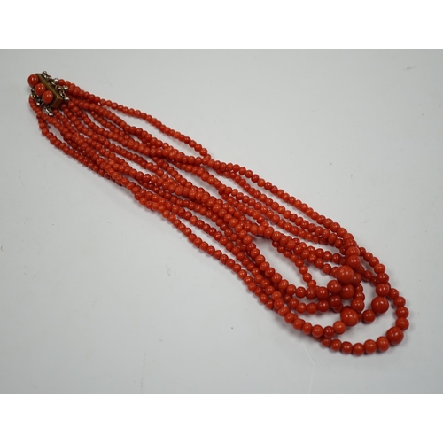 1886 - A five strand coral bead choker necklace, with coral set yellow metal clasp, approx. 44cm.