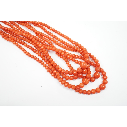 1886 - A five strand coral bead choker necklace, with coral set yellow metal clasp, approx. 44cm.