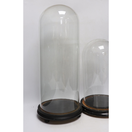 397 - Two glass domes on stands, largest 55cm high