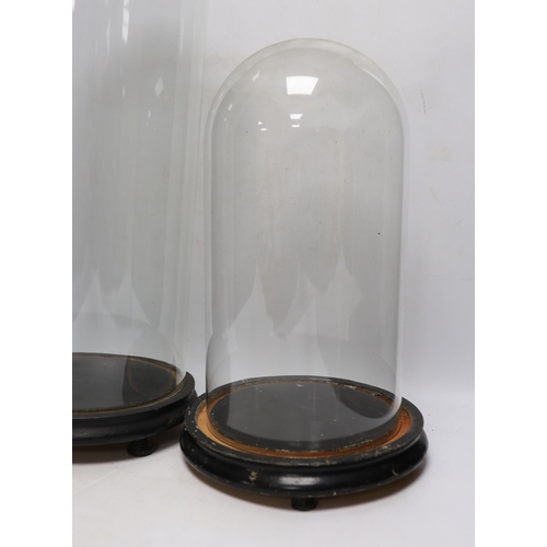 397 - Two glass domes on stands, largest 55cm high