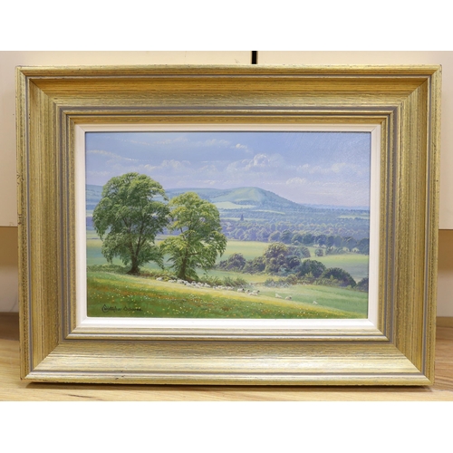 680 - Christopher Osborne (b.1947), oil on board, 'Towards Wolstonbury Hill near Ditchling', signed, detai... 