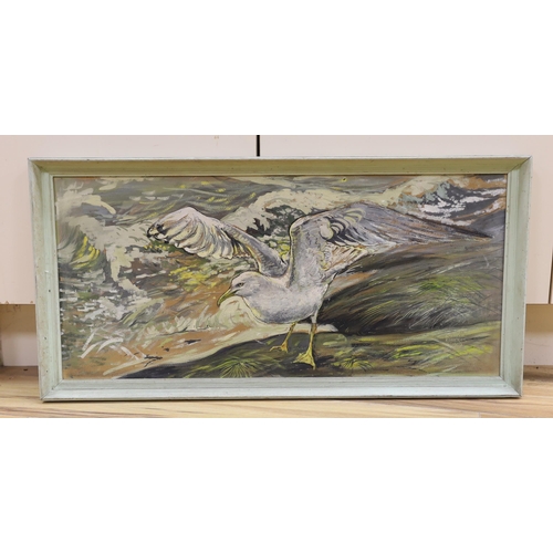 689 - Spencer Roberts (1920-1997), oil on board, Study of a seagull, signed and dated 1959, 34 x 74cm... 