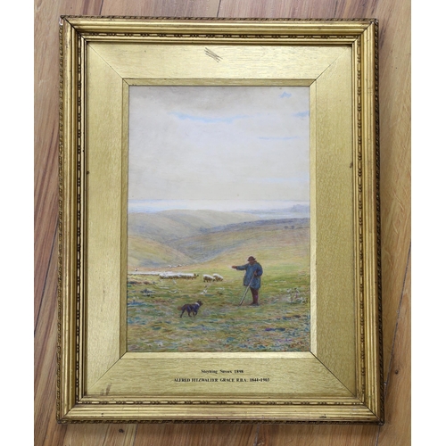 703 - Alfred Fitzwalter Grace RBA (1844-1903), heightened watercolour, Shepherd and sheep, signed and date... 