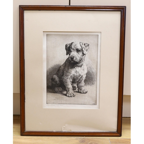 719 - Herbert Dicksee (1862-1942), etching, 'A Sealyham Pup', signed in pencil, publ. 1923 by Frost & Reed... 