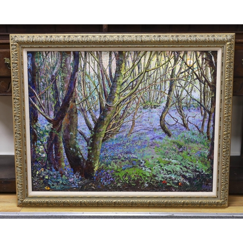 744 - Daniel Fallshaw (b.1946), impasto oil on canvas, 'Bluebell Wood', signed and dated 2000, 72 x 92cm... 